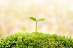 未経験からプロを目指す！株式会社INCASEで空調工事のプロとして働こう